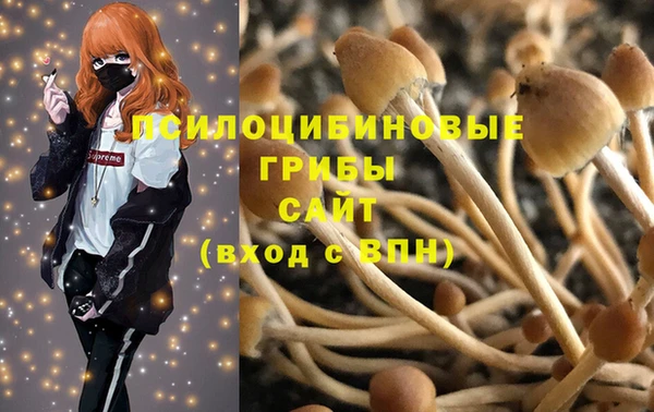 метамфетамин Алексеевка