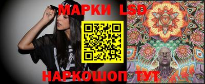 круглые Владимир