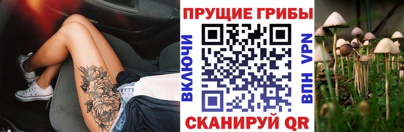 hydra вход Кондопога Галлюциногенные грибы мухоморы