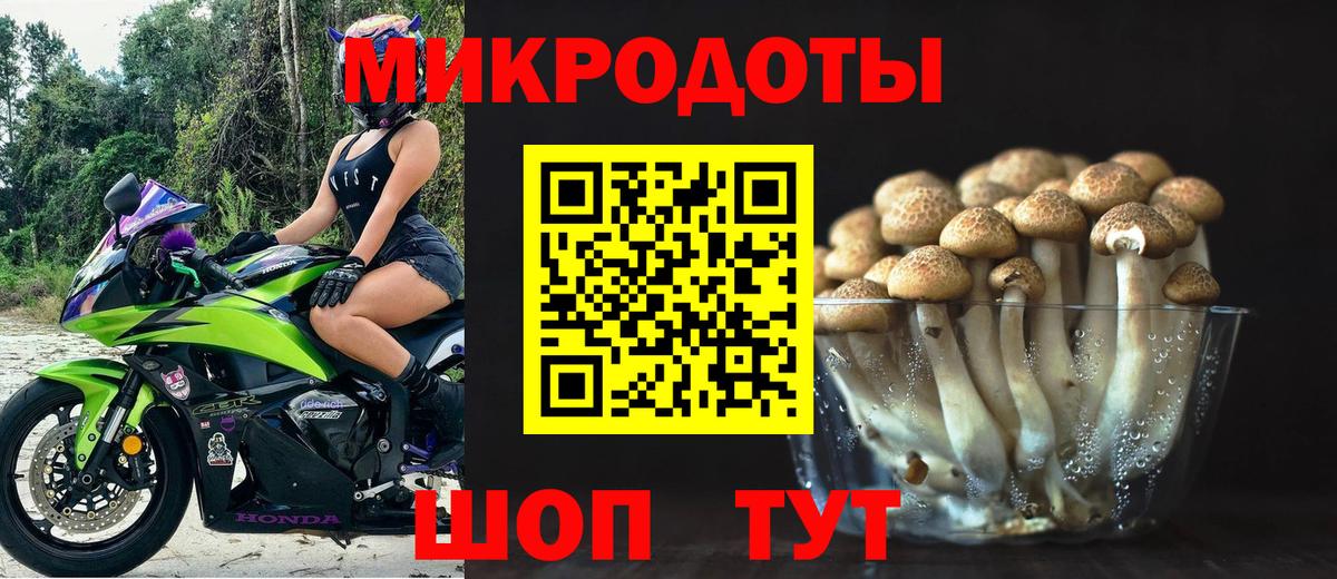 Галлюциногенные грибы ЛСД Кондопога